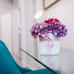 Madeira Xhic Apartment By Amazing Madeira
